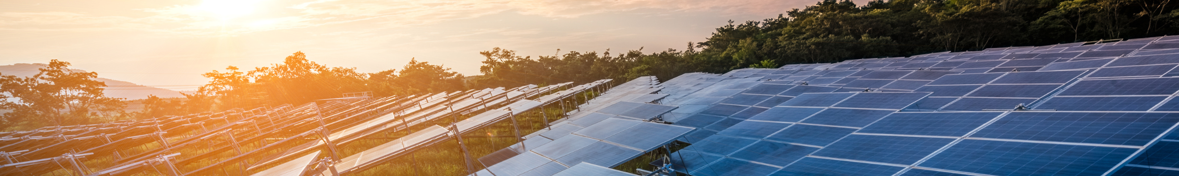 Solar panels in sunset